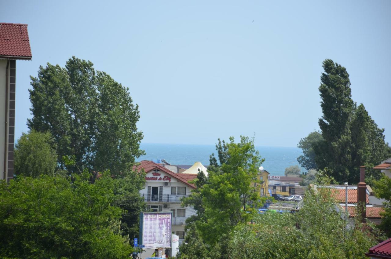 Vila Cu Livada كوستِنيست المظهر الخارجي الصورة